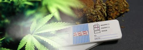 cbd drops for drug test|is cbd drug tested.